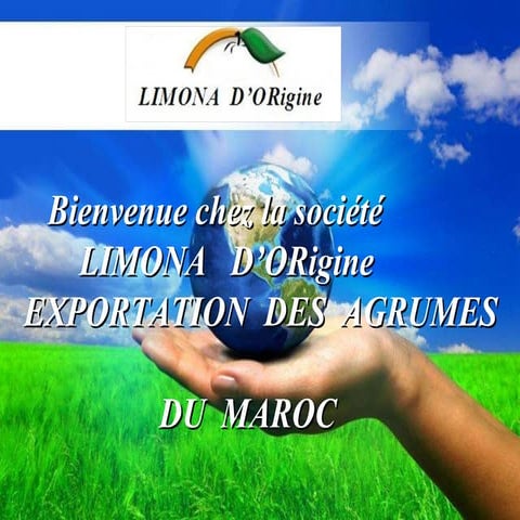 Catalogue limona d'origine