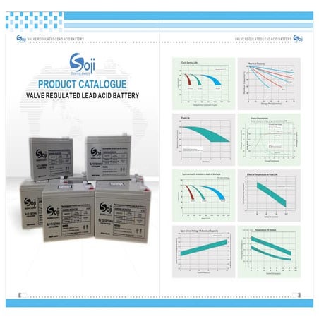 Catalogue soji battery