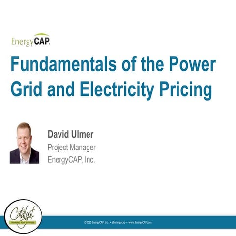 Fundamentals of the Power Grid and Electricity Pricing