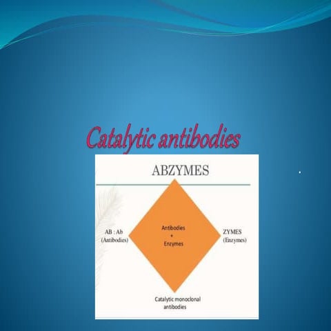 Catalytic antibodies