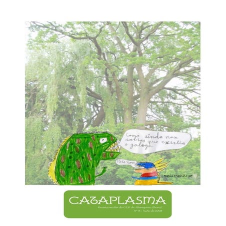Cataplasma Nº13 - 2008 - 50 páxinas