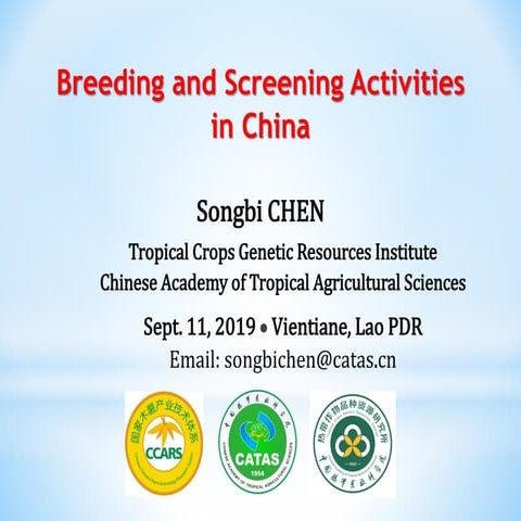 Cassava breeding and screening activities in China