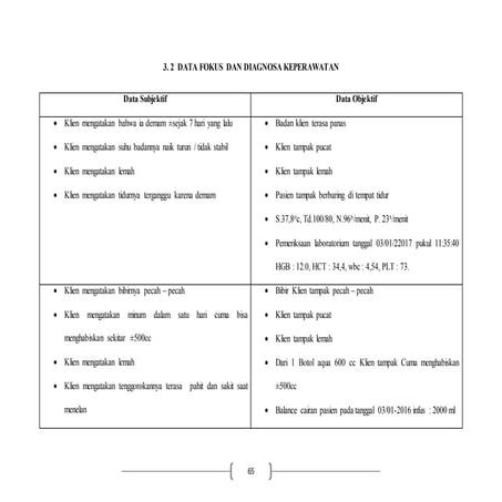 Catatan perkembangan