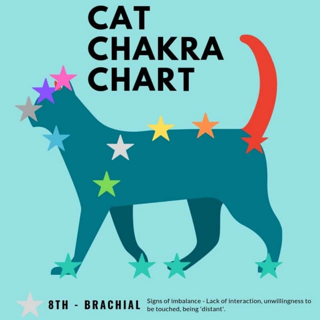 Cat chakra chart PDF