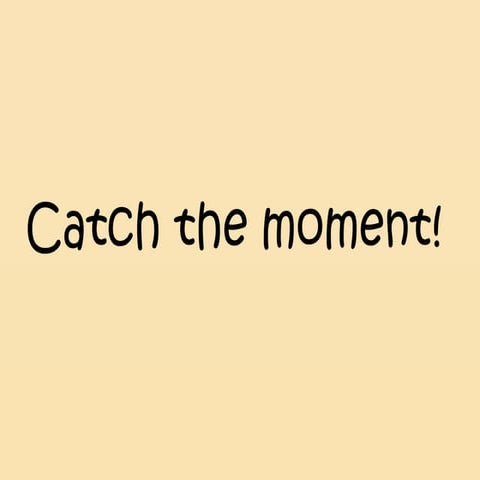 Catch the moment !