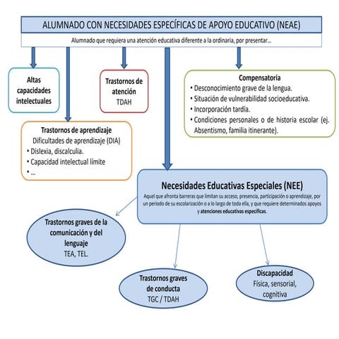 Categorías NEAE necesidades especificas de apoyo educativo | PDF