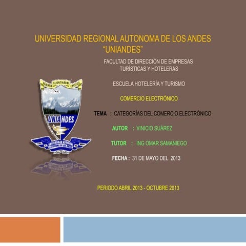 Categorias del e comerce-vinicio suarez