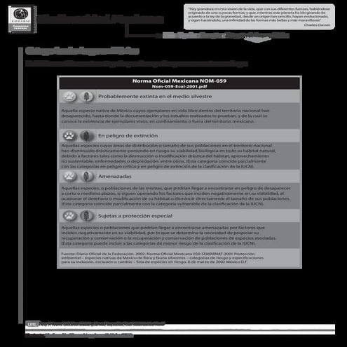 619198210-Triptico-Nom-059-hhhhACTUAL.pdf