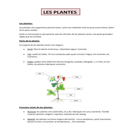 Què són les plantes?