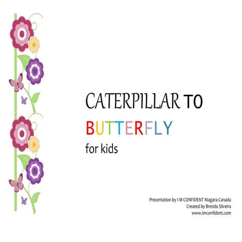 Caterpillar to butterfly for kids