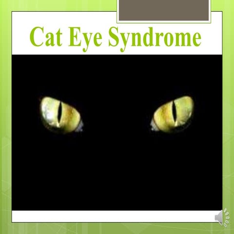 Cat eye syndrome