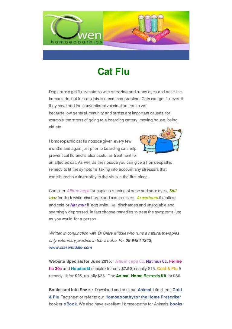 cat flu treatment home for dogs