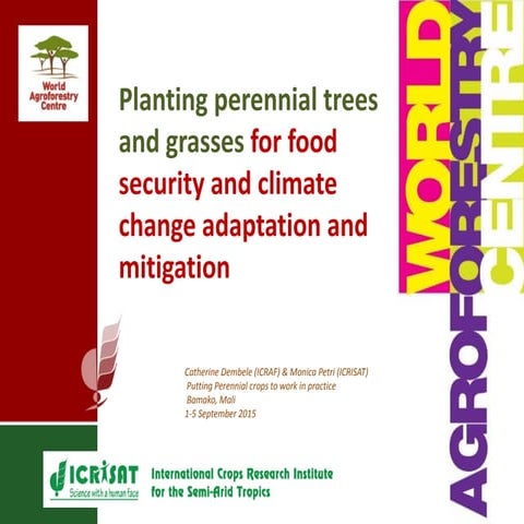 Planting perennial trees and grasses for food security and climate change ada...