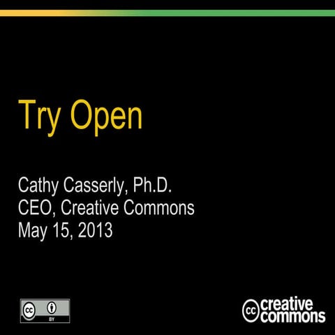 Cathy Casserly keynote, IIT Design Strategy Conference
