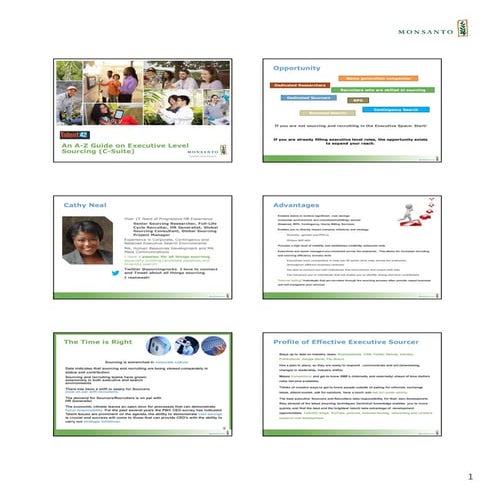 Talent42 2017: Cathy Neal 1-Pager An A-Z  Guide on Executive Level Sourcing