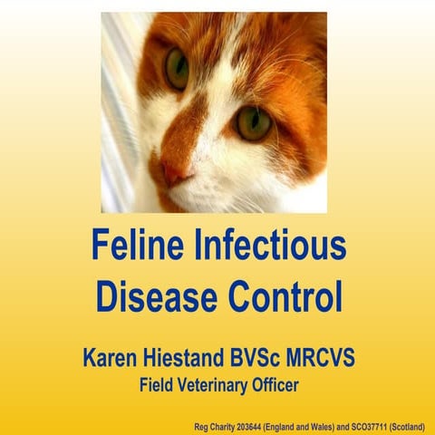 Feline Leukemia Virus (FeLV) | PPT