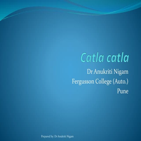 Introduction to Catla catla