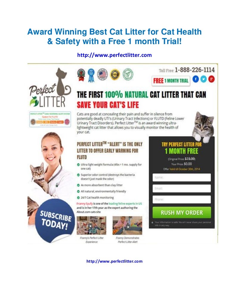 How Much Cat Litter Per Month For One Cat Cat Lovster