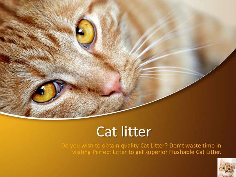 Cat litter