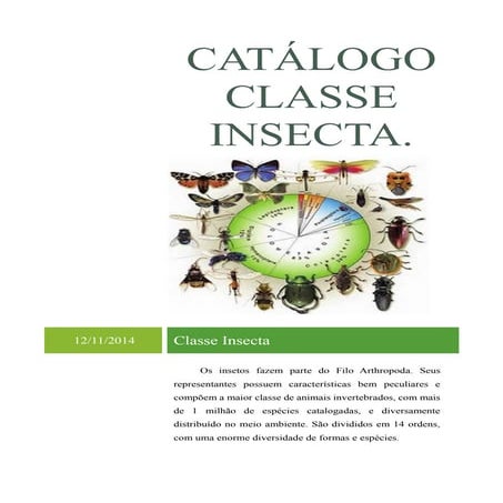 Catálogo classe insecta | PDF