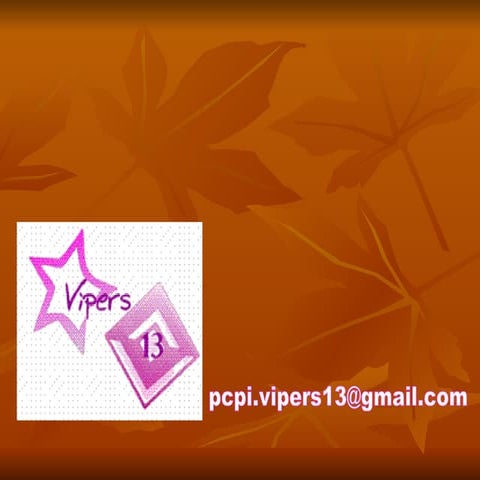 CatáLogo Cooperativa Vipers13