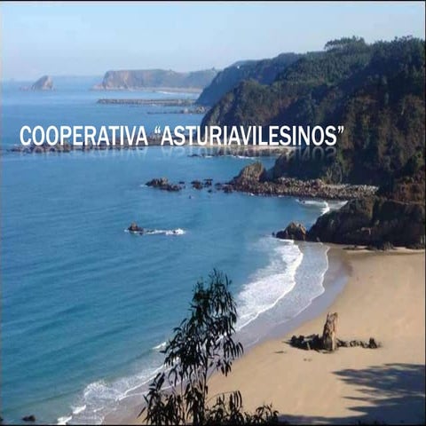 Catálogo 2-Cooperativa YouChoose