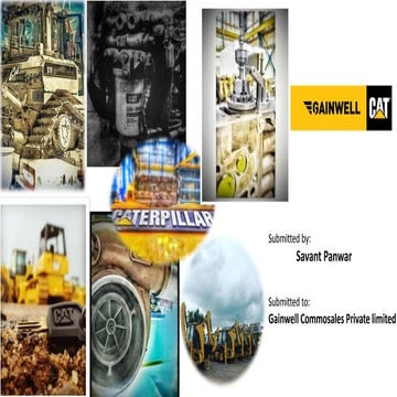 cat presentation final.pptx