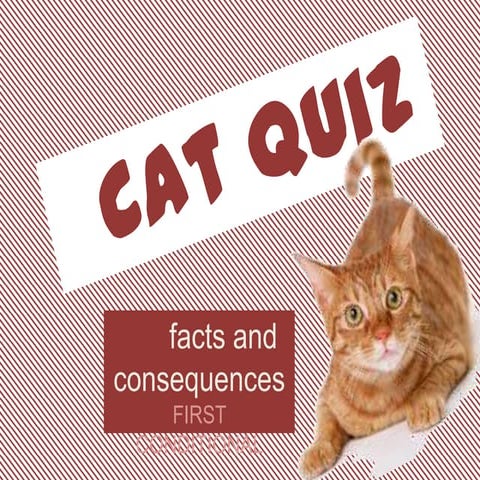 Cat quiz first conditional | PPTX