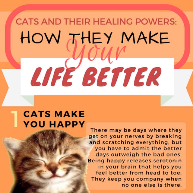 Cats and their Healing Powers How they Make Your Life Better PDF