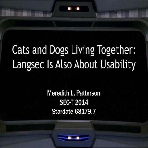 Cats And Dogs Living Together: Langsec Is Also About Usability