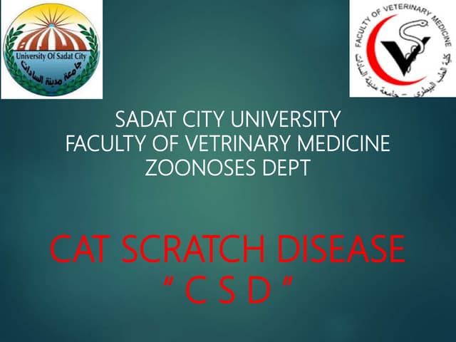 Cat scratch disease | PDF