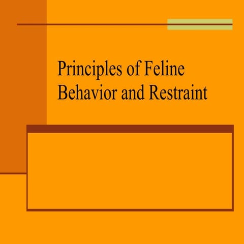 Cats I Behavior And Restraint Of Cats | PPT
