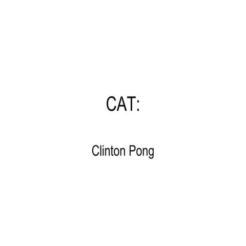 CAT Template | PPT
