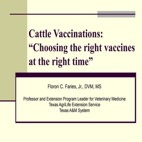 Cattle vaccinations