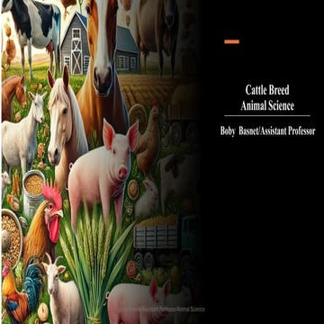 Urea Molasses Mineral Block (UMMB)/Urea Molasses Mineral Block (UMMB) | PDF