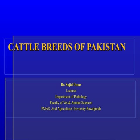 Cattle breeds