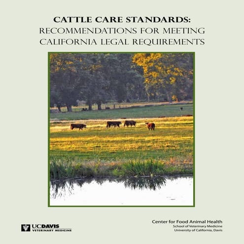 Cattle care standards (usa)