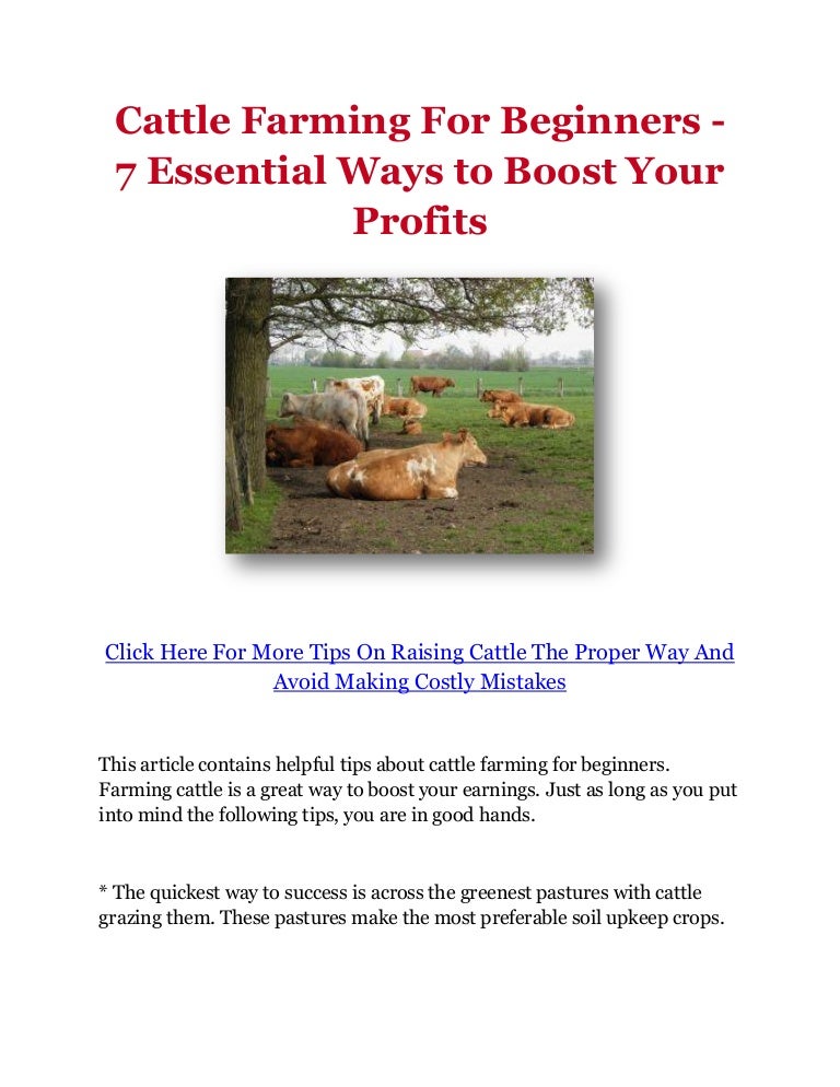 Cattle Farming For Beginners 7 Essential Ways to Boost Your Profits