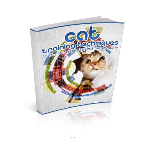 Cat training techniques