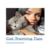 Cat Training Tips.pdf