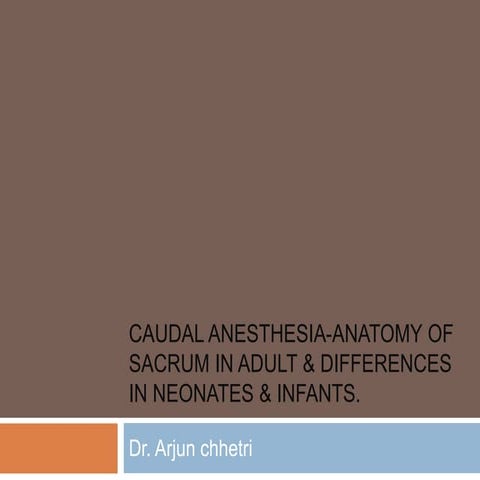 Caudal anesthesia