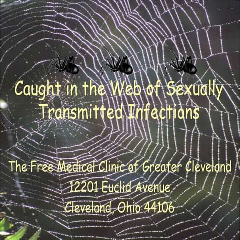Caught In The Web Of STIs Updated Version