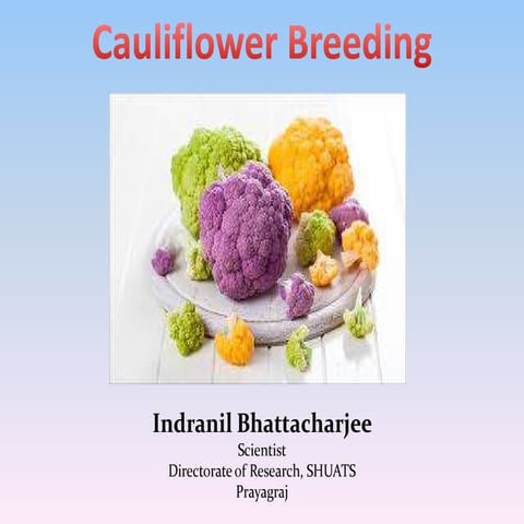 $Cauliflower breeding