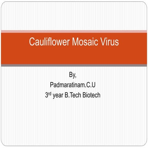 Cauliflower mosaic virus