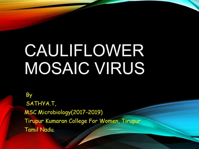 Cauliflower mosaic virus ppt