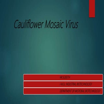 Cauliflower mosaic virus