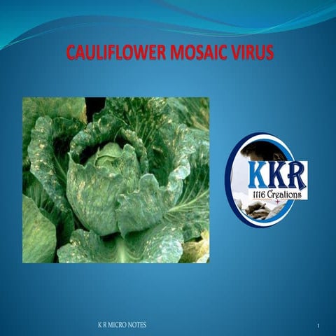 CAULIFLOWER MOSAIC VIRUS        K R.pptx