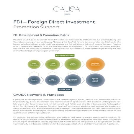 CAUSA Foreign Direct Investment Inbound Outbound Support Services | PDF