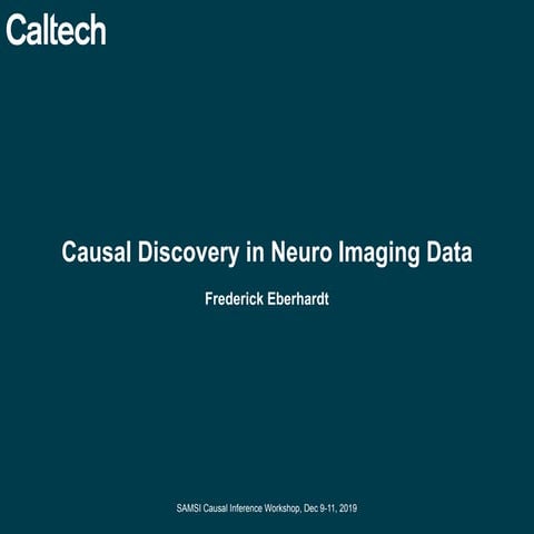 Causal Inference Opening Workshop - Causal Discovery in Neuroimaging Data - F...
