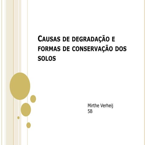 Causas de degradação e formas de conservação dos solos
